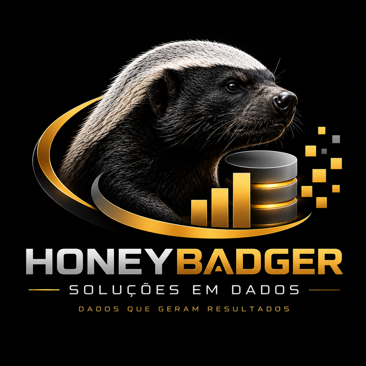 HoneyBadger Soluções em Dados